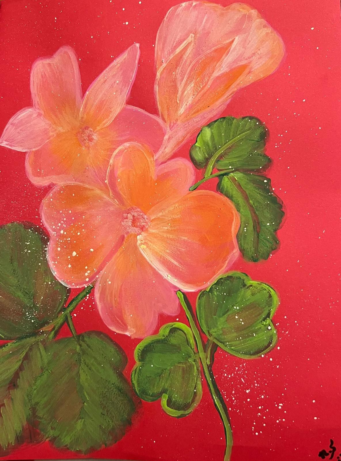 Coral-orange flowers with rounded green leaves on a bright red background.