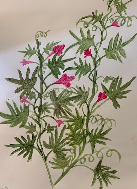 Hand-painted climbing vines with curled tendrils, long green leaves, and small pink flowers on a pale background.