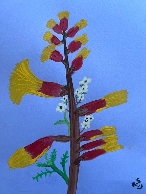 Tall red flower spikes with yellow tips and small pale blossoms on a blue background.